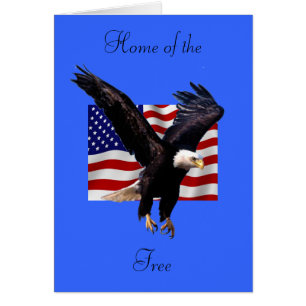 Eagle calvo