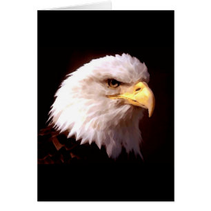 Eagle calvo American Eagle