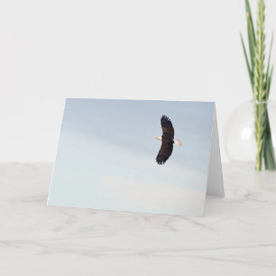 Eagle calvo que vuela la tarjeta