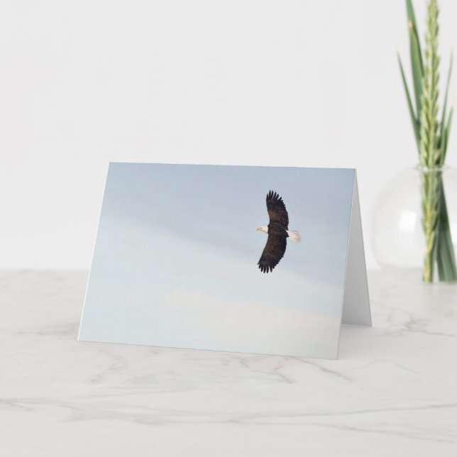 Eagle calvo que vuela la tarjeta (Anverso)