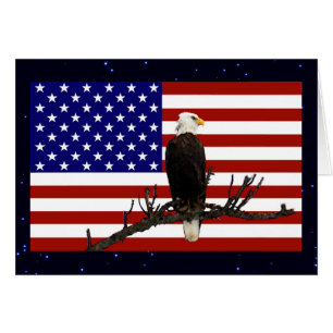 Eagle Calvo Vigilante