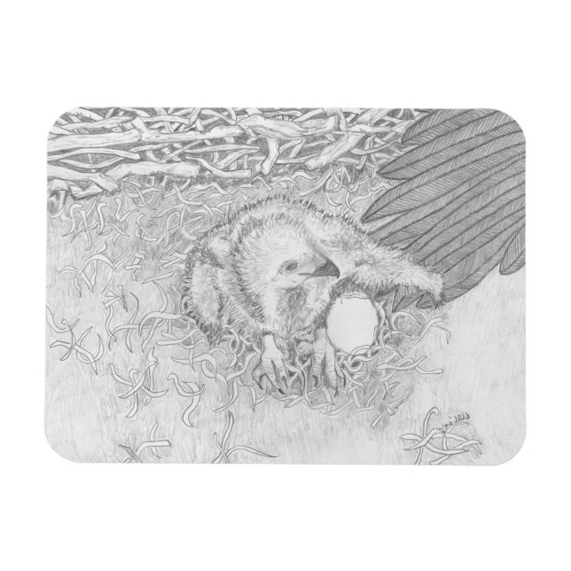 Eagle E14 en el imán Wing de Ozzie (Horizontal)