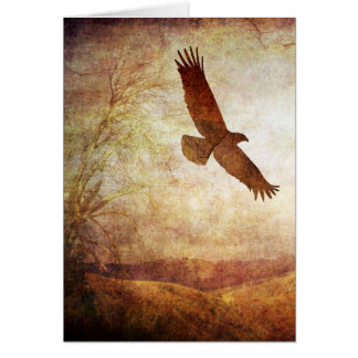 Eagle Soar