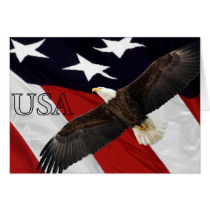 Eagle y la bandera de los Estados Unidos