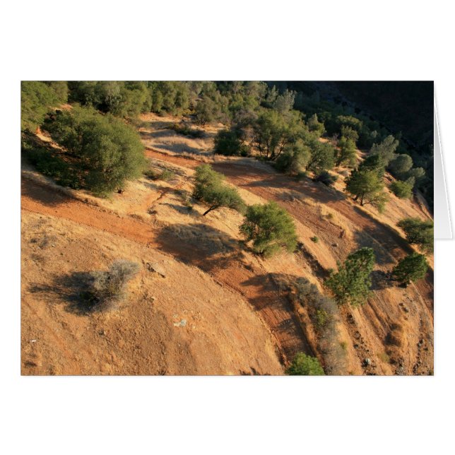 eAgLe'S eIeW (Anverso (Horizontal))