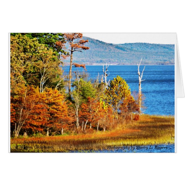~Eagles en Sardis Lake~ (Anverso (Horizontal))