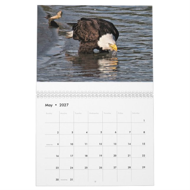 Eagles por el calendario de Tamara (May 2027)