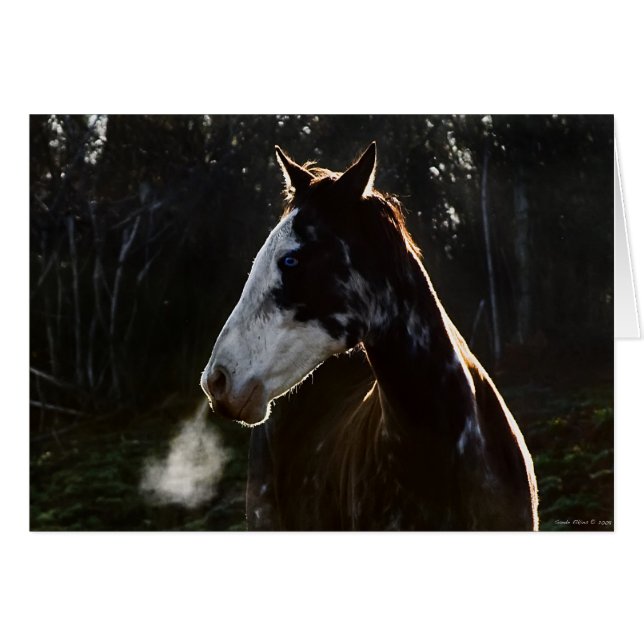 EarlyMornBlues (Anverso (Horizontal))