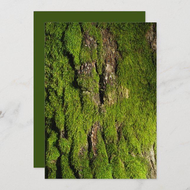 Earth Day Celebration, Editable Text (Anverso / Reverso)