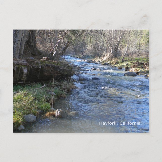 East Fork, Hayfork Creek... Postal (Anverso)