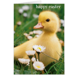 Easter Card - Cute Duckling