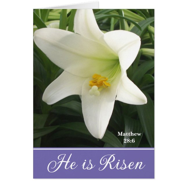 Easter Card Easter Lily (Frente)