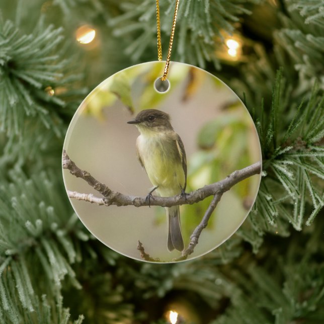 Eastern Phoebe | Ornamento cerámico (Árbol)
