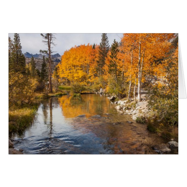 Eastern Sierra, Bishop Creek, salida de California (Anverso (Horizontal))