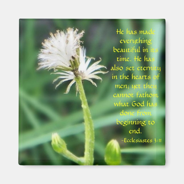 Ecclesiastes 3:11 imán (Frente)