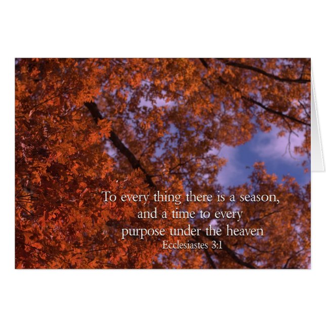 Ecclesiastés 3:1 En cada estación (Anverso (Horizontal))