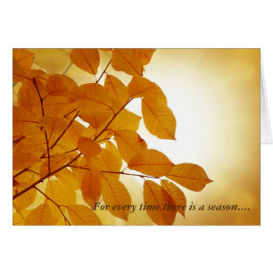 Ecclesiastes 3 Season Comforst