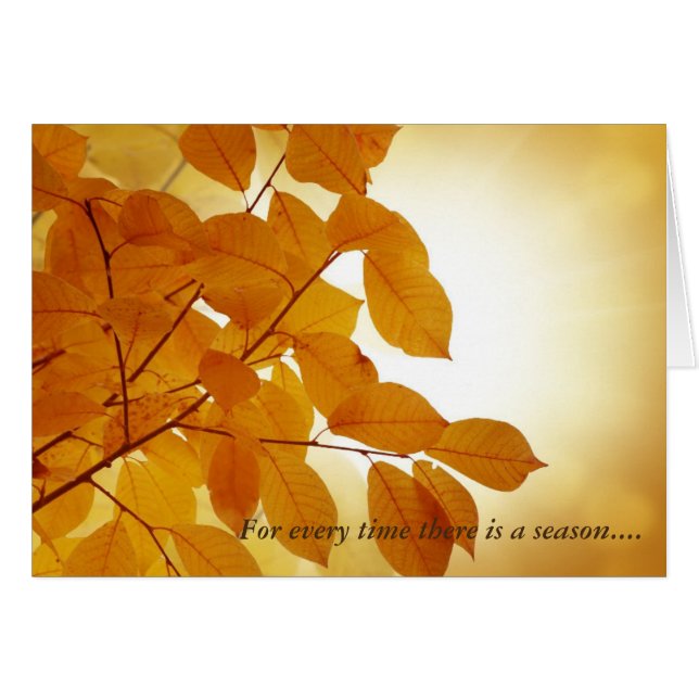 Ecclesiastes 3 Season Comforst (Anverso (Horizontal))