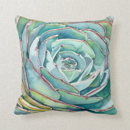 Echeveria lanza almohada