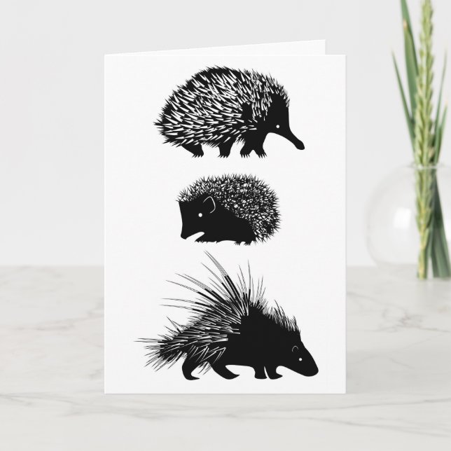 Echidna, erizo, tarjeta de felicitación del puerco (Anverso)