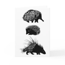 Echidna, erizo, tarjeta de felicitación del puerco