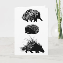 Echidna, erizo, tarjeta de felicitación del puerco
