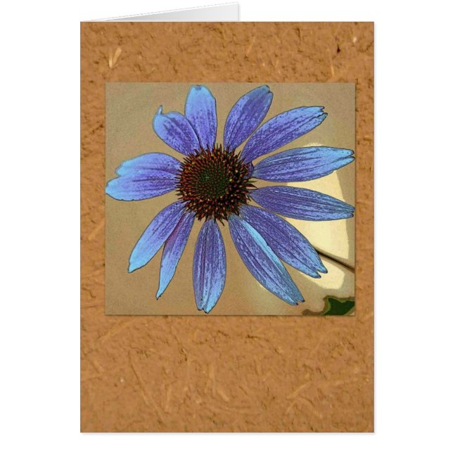 Echinacea azul (Frente)
