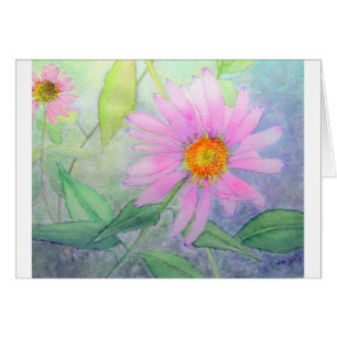 Echinacea en la floración
