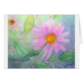 Echinacea en la floración