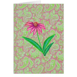ECHINACEA ROSADO PAISLEY