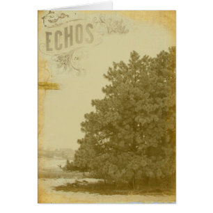 Echos de invierno