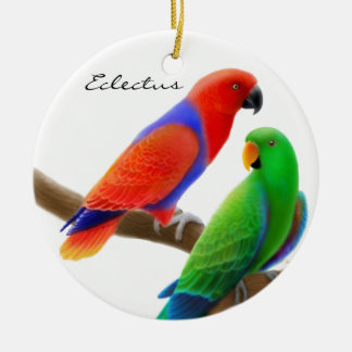 Eclectus repite mecánicamente el ornamento