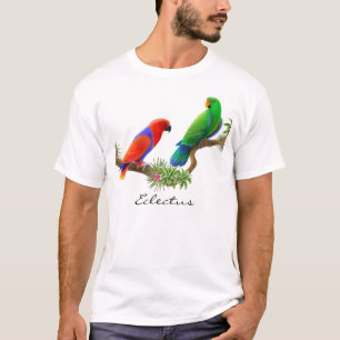 Eclectus repite mecánicamente la camiseta