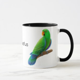 Eclectus repite mecánicamente la taza