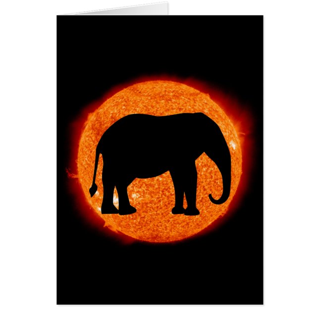 Eclipse solar elefante (Frente)
