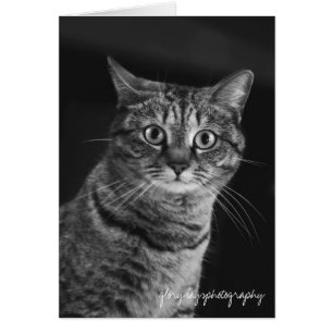 Eco, bw, D300, glorydaysphotography