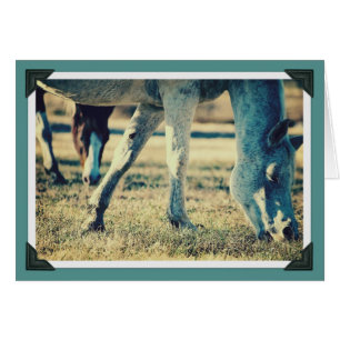 Ecuaciones de barrido