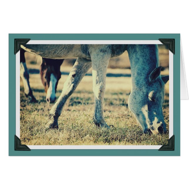 Ecuaciones de barrido (Anverso (Horizontal))