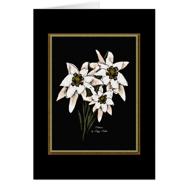 Edelweiss Flowers (Frente)