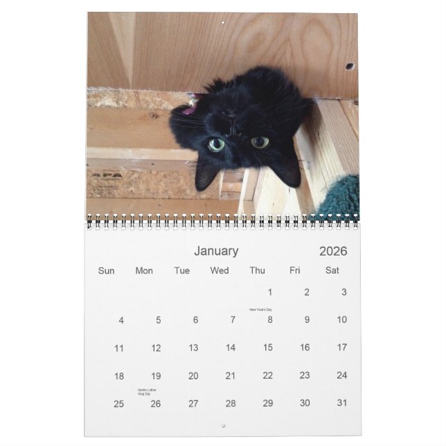 Edgar, brujería africana y calendario 2015 del (Jan 2026)