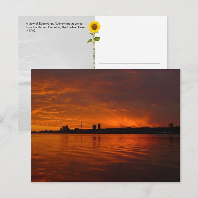 Edgewater, NJ Skyline - postal H (Anverso / Reverso)