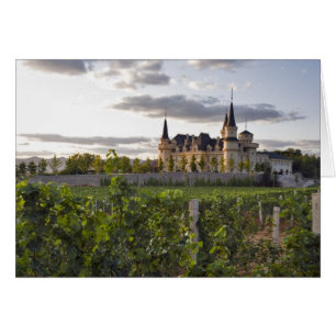 Edificio de invierno visto desde el viñedo en