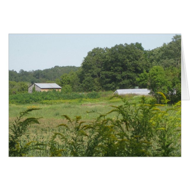 Edificios de cultivo (Anverso (Horizontal))