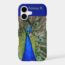Editable orgullo Peacock Blues y Verdes