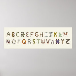 Educación de insectos de decoración de fallos o al