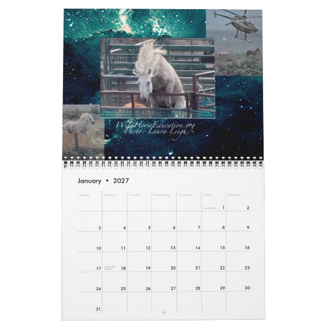 Educación del caballo salvaje… un calendario (Jan 2027)