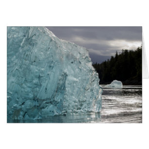 EE. UU., Alaska, Bosque Nacional Tongass, Tracy 2