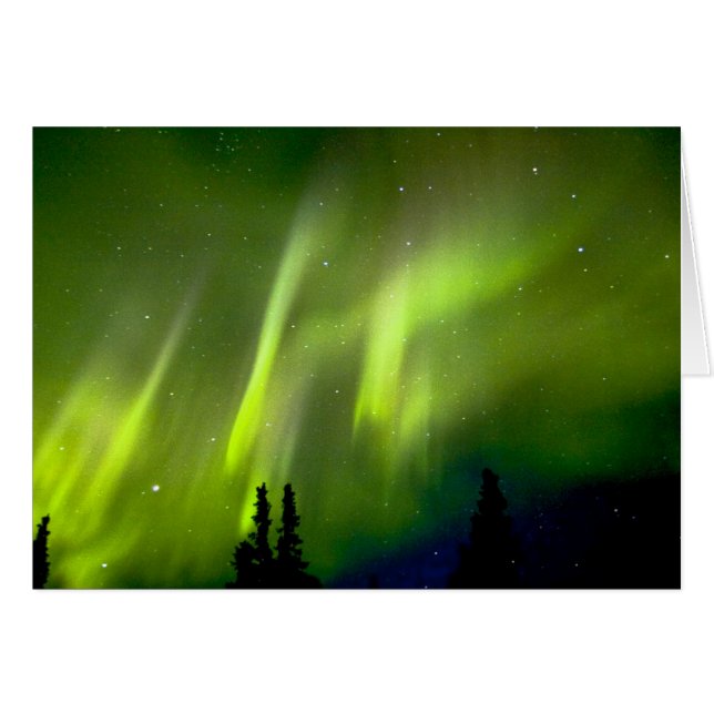 EE. UU., Alaska, Chena Hot Springs. Aurora 3 (Anverso (Horizontal))