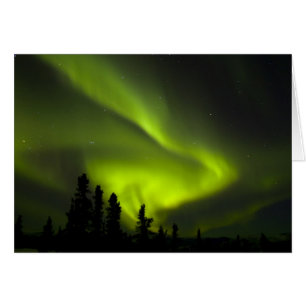 EE. UU., Alaska, Chena Hot Springs. Aurora Boreal