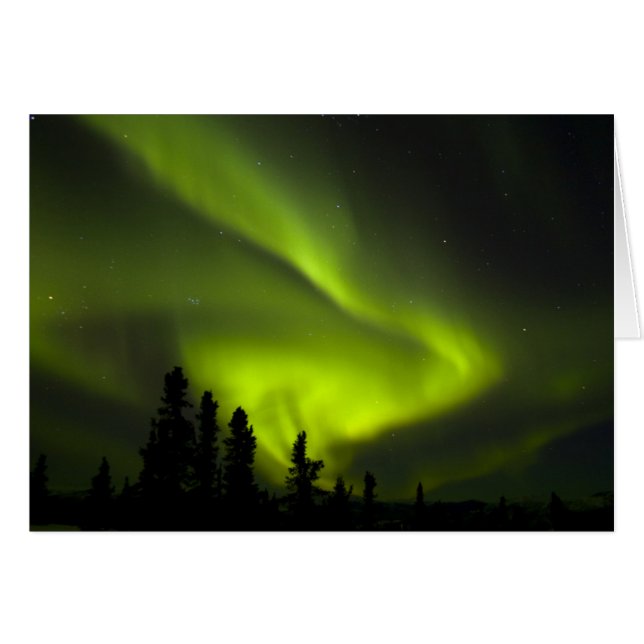 EE. UU., Alaska, Chena Hot Springs. Aurora Boreal  (Anverso (Horizontal))